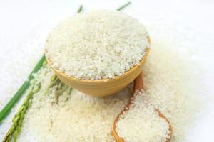 Wholesale sushi: Vietnam Sushi Rice Short Grain for Export