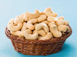 Wholesale Cashew Nuts: Cashew Nuts From Vietnam