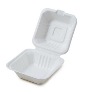 Wholesale sandwich paper: Biodegradable Disposable 100% Natural Compostable Sugarcane Clamshell Takeaway Food Containers