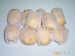 Wholesale onion price: POTATO