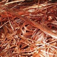 Sell  Copper Wire Scrap 99.99% Purity Bulk