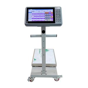 Wholesale financial business: Support Receipt Printing API Integration Weighing Scale 150kg Suitable for Supermarket
