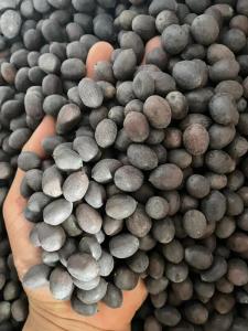 Wholesale seeds: Black Lotus Seed From Vietnam - High Quality - Whatsapp:  +84 388 573 259