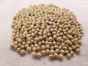 Wholesale milk: Soybeans