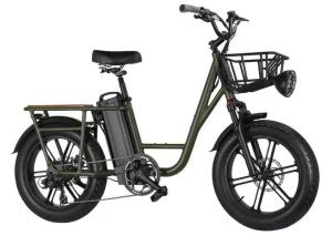Wholesale bike wheel: Fat Tire Electric Bicycle Fat Wheel Bike 48v 500w 60v 750w 1000w Mountain Bike