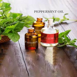 Wholesale herb tea: Peppermint Oil