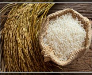 Wholesale a: Basmati Rice
