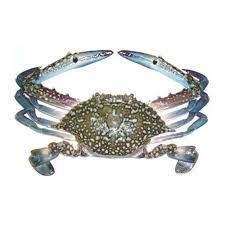 Wholesale swimming: Blue Swimming Crab