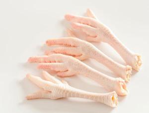 Wholesale chicken paw: Halal Frozen Chicken Meat /Frozen / Processed Chicken Feet / Paws / for Sale Good Price Export