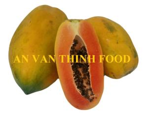 Wholesale red papaya: IQF FROZEN RED PAPAYA NON GMO Origin Vietnam (IQF FROZEN PAPAYA, PAPAYA NON-GMO)