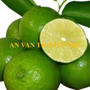 Wholesale mixed canned fruits: IQF FROZEN LIME SEEDLESS Origin VIETNAM From AN VAN THINH FOOD (IQF LIME SEEDLESS FROZEN)