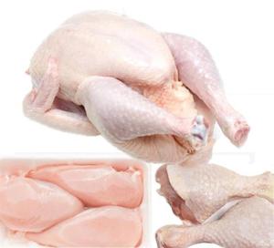 Wholesale parts: Frozen Chicken + Frozen Chicken Part + Frozen Porc Meat