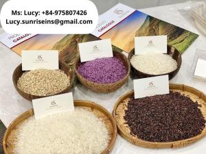 Wholesale vietnam rice: Jasmine Rice, Fragrant Rice, White Rice, Perfumed Rice, ST25 Rice From VIETNAM