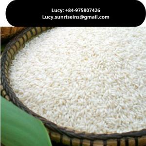 Wholesale heathy: Glutinous Rice - Sticky Rice From Vietnam - Quality Rice - Good Rice
