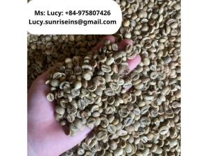 Wholesale middle east: Coffee Bean : Arabica & Robusta From Viet Nam
