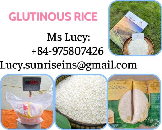 Glutinous Rice Sticky Rice Jasmine Rice Fragrant Rice Viet Namid11662975 Buy Vietnam 5000