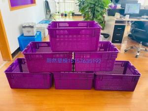 Wholesale good quality crate mould: Good Quality Crate Mould Industry Taizhou Longrange Mould 8615157635192