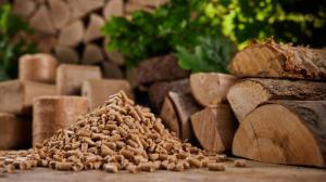 Wholesale environmental plant: Quality Wood Pellets Pine Wood