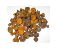 Sell Cattle Gallstones Cow ox Gallstones 