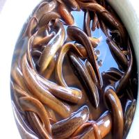 Sell Quality Eel Fish