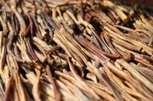 Wholesale Other Animal Feed: Beef Pizzle, Bully Sticks