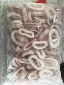 Wholesale squid: Frozen Squid Rings