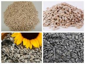 Wholesale high efficient: High Quality Sunflower Seed and Sunflower Kernels (2014 Crop)