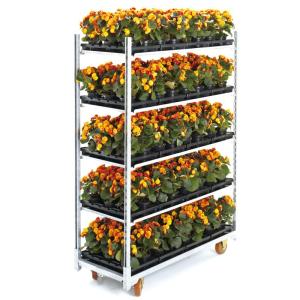 Wholesale Hand Carts & Trolleys: Greenhouse Trolley Carts