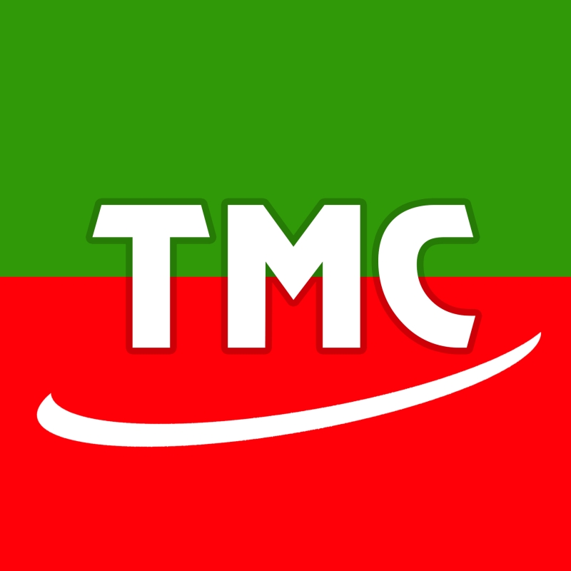 Tuong Minh Craft Company Logo