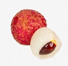 Wholesale plastic poly bag: Luc Ngan Fresh Lychee From Vietnam with High Quality (HuuNghi Fruit)