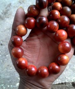 Wholesale charm: Indonesian Blood Dragon Wood Bracelet 18 MM 13 Beads Red Agathis King of Wood