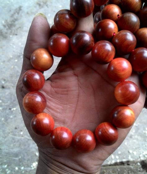 Raja Kayu Bracelets Blood Dragon Wood Indonesian Red Agathis King of Wood 
