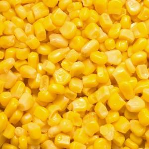 Wholesale sweet corn: Sweet Yellow Corn