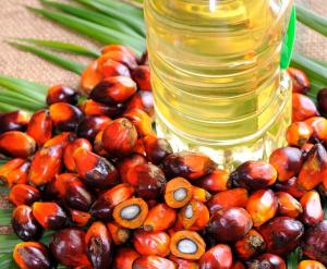 Wholesale flexi bag: Palm Oil