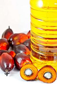 Wholesale olein: Rbd Palm Oil Olein