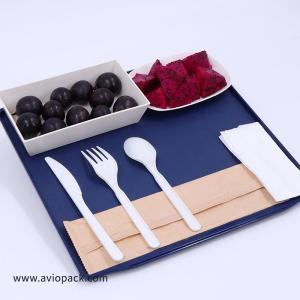 Wholesale food tray: Avio Pack 2/3 Atlas Size Inflight Food Tray ABS Plastic Serving Tray Airline Tray