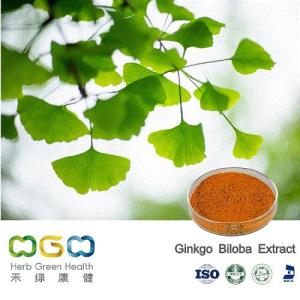 Wholesale ginkgo biloba extract usp: Natural Plant Extract Organic Ginkgo Biloba Extract for Lower Blood Pressure Herb Herbal