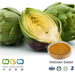 Wholesale non gmo corn: Natural Plant Extract Artichoke Powder for Lower Cholesterol Levels Herb Herbal