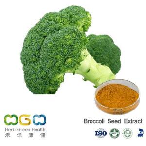 Wholesale broccoli: Natural Plant Extract Broccoli Seed Powder for Anticancer Herb Herbal