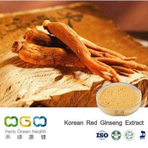Wholesale panax ginseng: Natural Plant Extract Korean Red Ginseng Extract with Total Saponins 1%-10% Herb Herbal