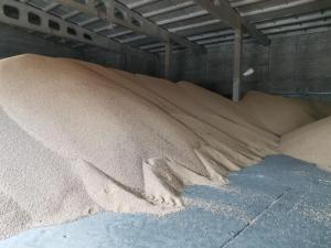 Wholesale Bean Products: Soya