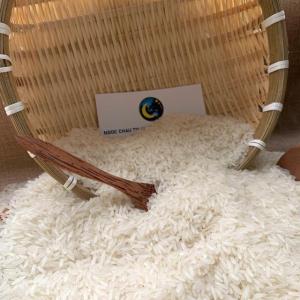 Wholesale thailand rice: Reliable Source for Organic Vietnamese Jasmine Rice Soft White Dried Rice for Dealers Manufacturers