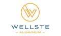 Wellste Material Co.,Ltd Company Logo
