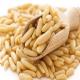 Sell Pine Nuts