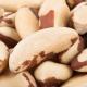Sell Brazil Nuts