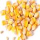 Sell Yellow Corn grade Top For Animal Feeds