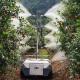 Sell 2022 New Design orchard remote control sprayer machine