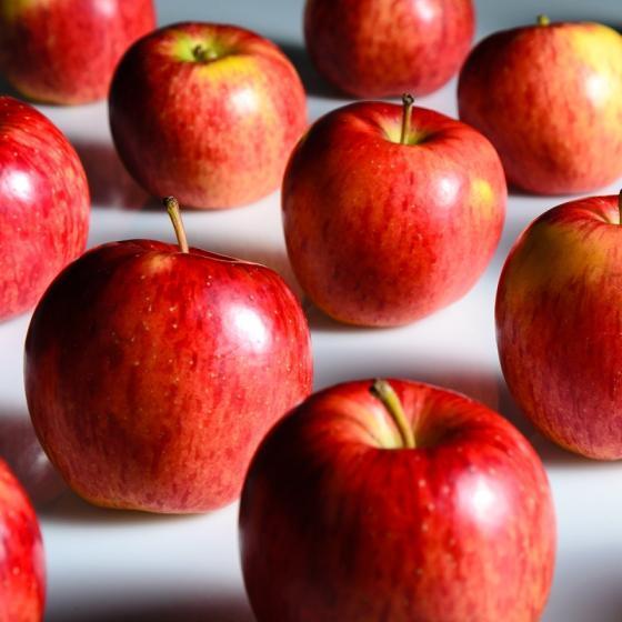 Sell Fresh Fruits Red Delicious Fuji Apples/Gala Apples