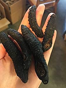 Wholesale frozen: Dried Sea Cucumber  WhatsApp: +37066343736 for More Details