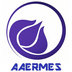 AAERMES Trade Co., Ltd. Company Logo